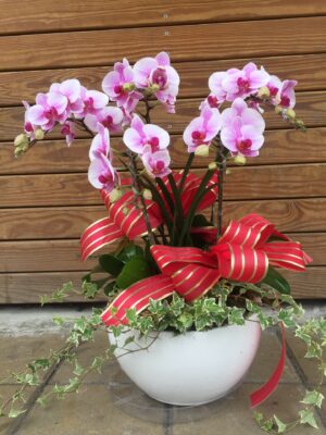 編號:D0004----晶典蘭花桌上白盆